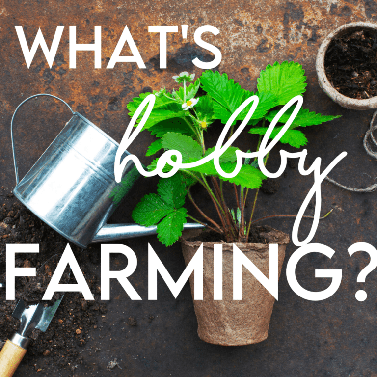 What is Hobby Farming?