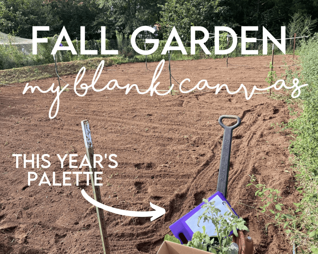 Fall garden blank canvas before planting with this years palette (seeds & plants to put in the ground)