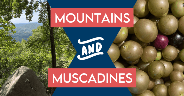 Weekend Fun with Mountains & Muscadines