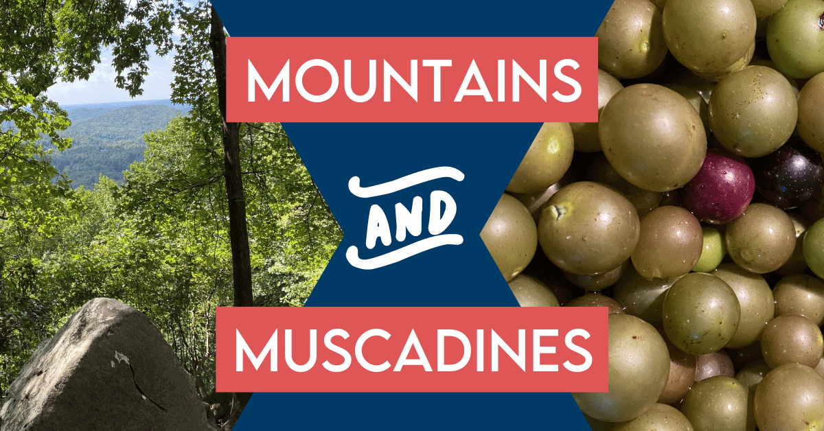 Mountains and Muscadines