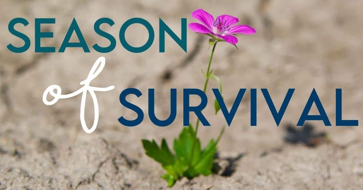 Season of Survival Title Image