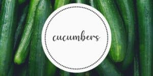 Cucumbers Farm to Fork