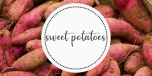 Sweet Potatoes Farm to Fork