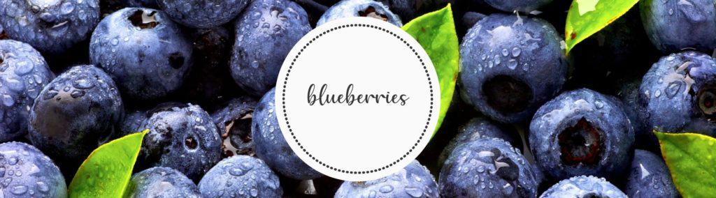 blueberries banner pic